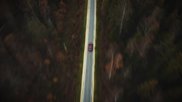 汽车在穿过森林的路上行驶视频下载