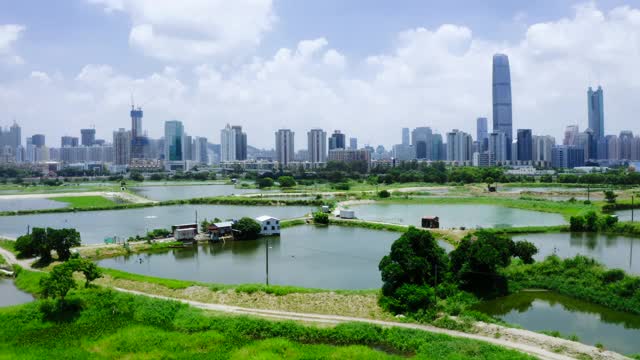 在香港和中国深圳之间的乡村绿地和鱼塘视频素材