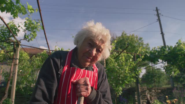 一个积极的老年妇女的肖像照顾蔬菜花园与她的孙女。在日落时检查绿色沙拉幼苗。视频素材