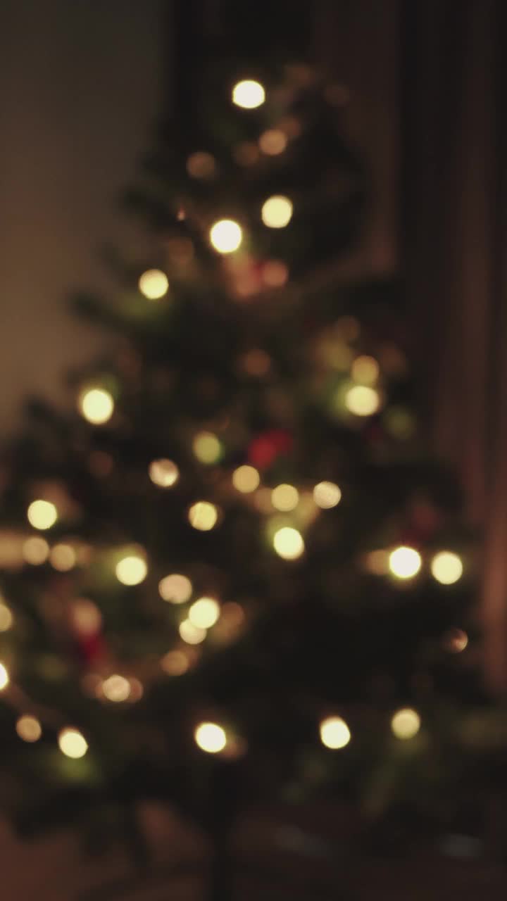 垂直散焦镜头闪烁的圣诞树视频下载