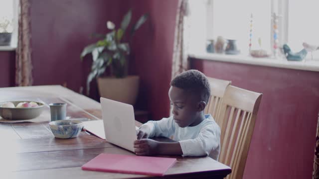 小男孩在家里用笔记本电脑视频素材
