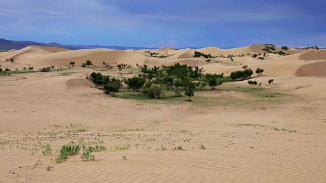 蒙古巴彦戈壁沙漠的沙丘视频素材