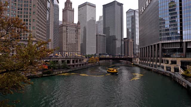 金融中心。芝加哥。船。视频素材