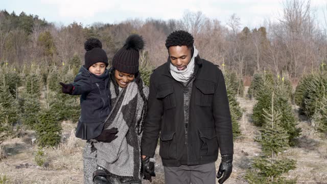 一个家庭穿过一个林场寻找完美的圣诞树视频素材