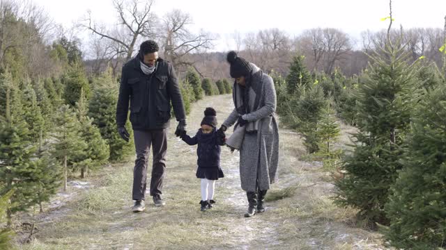一个年轻的家庭享受他们的时间圣诞树购物在树农场视频素材
