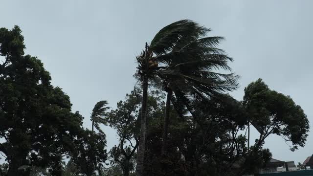 超级台风“戈尼”的袭击视频下载