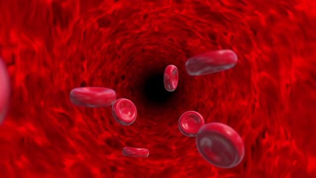 血细胞红色管隧道环路动画视频购买