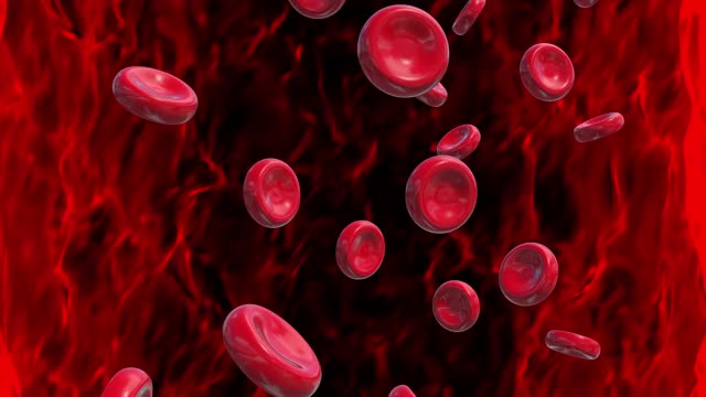 血细胞红色管隧道环路动画视频素材