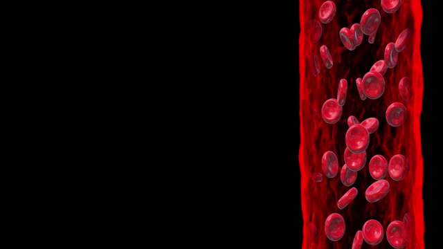 血细胞红色管隧道环路动画视频素材