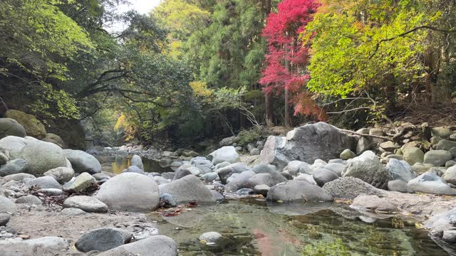 秋天的Nibukawa山谷。爱媛县今仓市视频素材