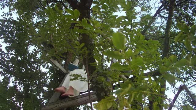 一个年轻女子在树屋上看书视频下载