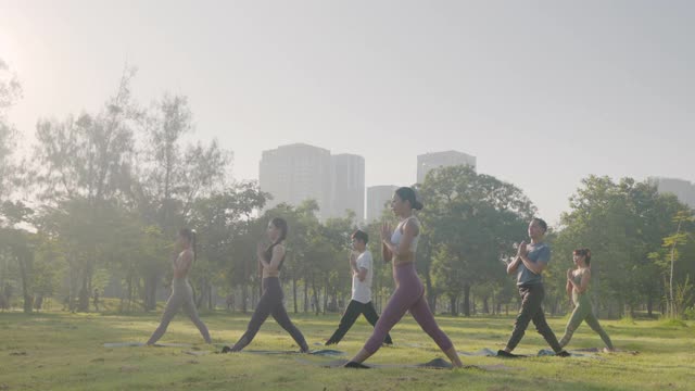 六人组混合年龄的人在城市公共公园做瑜伽姿势称为延伸侧角姿势，健身，运动，瑜伽和健康的生活方式的概念视频素材