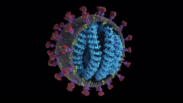 冠状病毒- COVID-19模型旋转的轴。科学精确的冠状病毒三维模型动画。视频下载