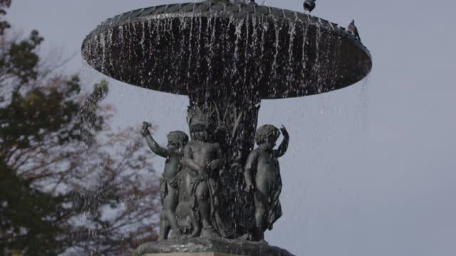 中央公园的喷泉视频下载
