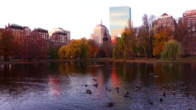波士顿公共花园视频下载