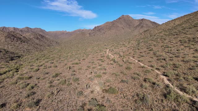 亚利桑那州沙漠景观，仙人掌徒步小径视频素材