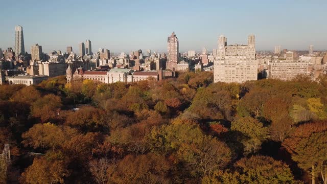 从美国纽约市中央公园鸟瞰曼哈顿视频素材