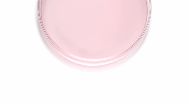 近距离和超级缓慢的运动，使粉红色的涟漪在培养皿放置在一半的框架与复制空间下面的白色背景视频下载