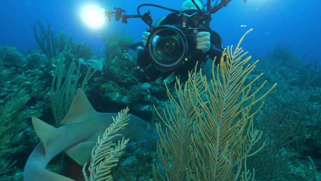 慢镜头:潜水员用摄像机探索海洋中的珊瑚礁-伯利兹城，伯利兹视频下载