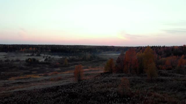 无人机俯瞰日落时分的秋天森林。地上有雾视频素材