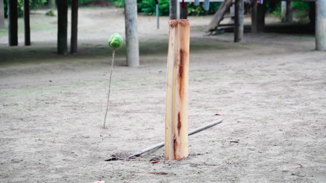特写:木桩在地面上的射击练习旁边的矛附近的村庄-亚马逊，厄瓜多尔视频下载