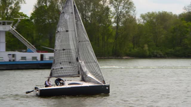 帆船穿过宽阔的河流，驶向阳光下的森林河岸——法兰克福，德国视频下载