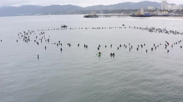 空中回:一群冲浪者坐在冲浪板上围成一个大圈，在静水里抗议，在加州长滩附近的救生船视频下载