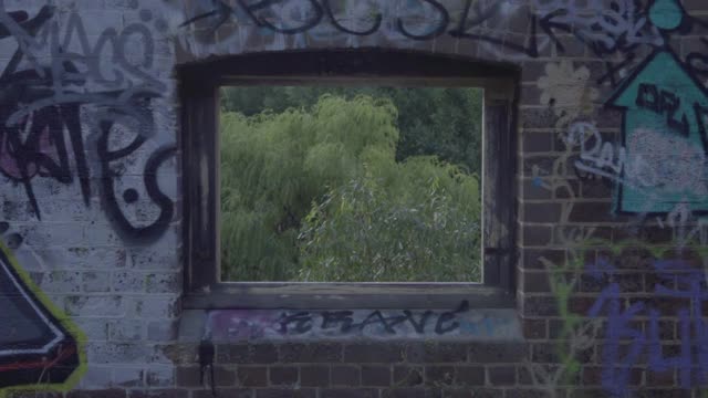 慢镜头:从窗户看到的绿树和废弃的建筑-米塔贡，澳大利亚视频素材
