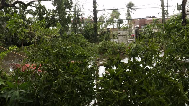 超级台风“哥尼”袭击娜迦市。视频素材
