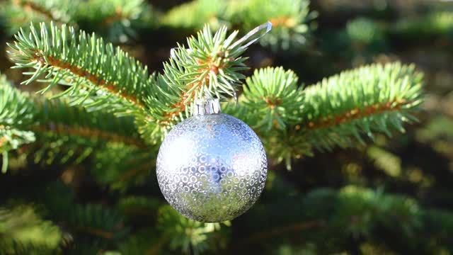 圣诞装饰球在绿色的树枝。圣诞树装饰。视频素材