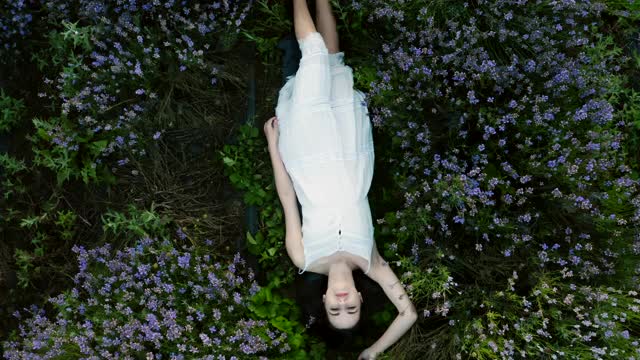 一个年轻女子躺在薰衣草地里视频下载