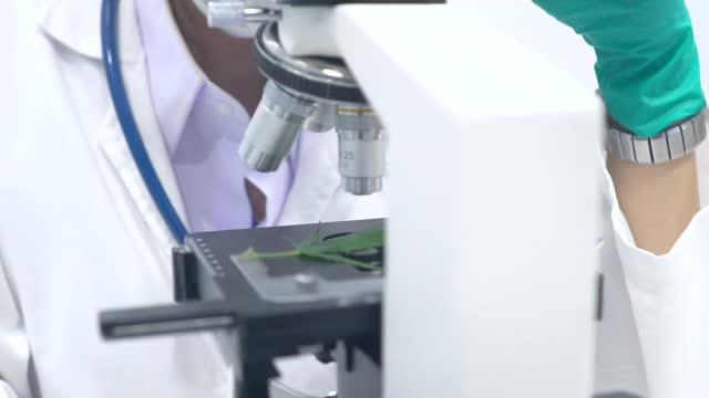 医生用显微镜检查精子样本视频下载