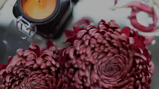 美丽的视频吹灭蜡烛与烟和灰尘粉红色菊花视频素材
