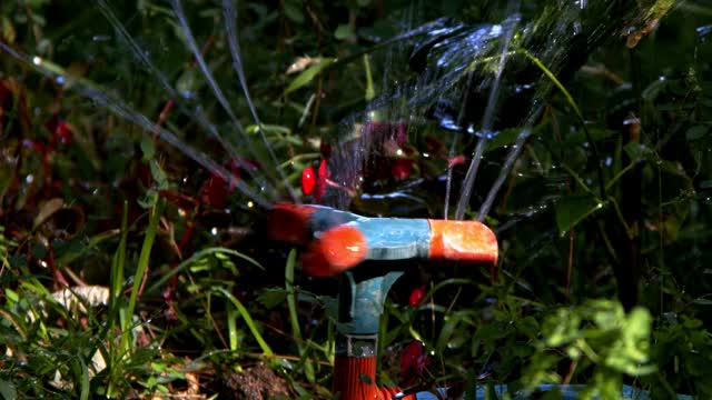 大自然中的花园植物洒水器视频素材