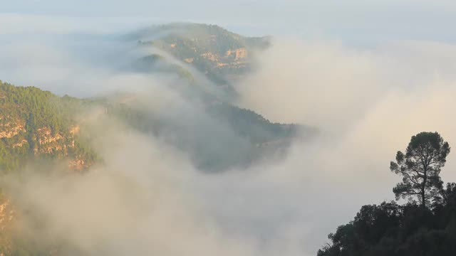 蒙特塞拉特向北的景色-山谷中的大雾天视频下载