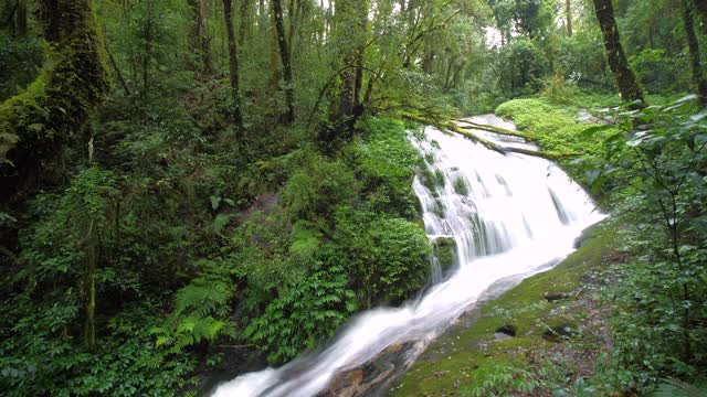 时间流逝的瀑布和小溪在绿色雨林在东南亚视频素材