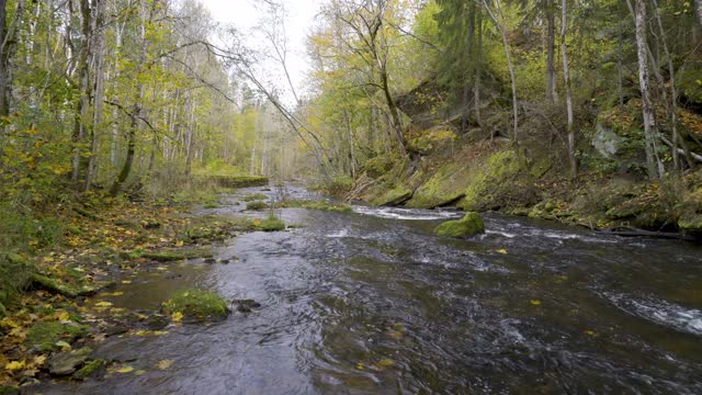 爱沙尼亚Lahemaa国家公园的河流景观视频素材