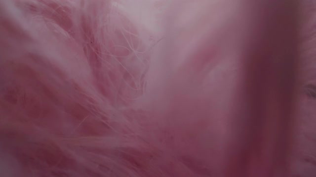 多莉拍摄微距:抽象的粉色羽毛特写微距。视频素材