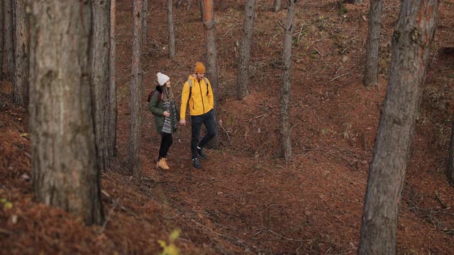 年轻夫妇手牵着手穿过森林视频素材