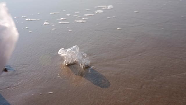 在海滩上收集塑料瓶。视频素材