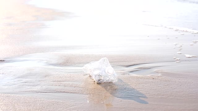 清理海滩上的塑料垃圾。视频素材