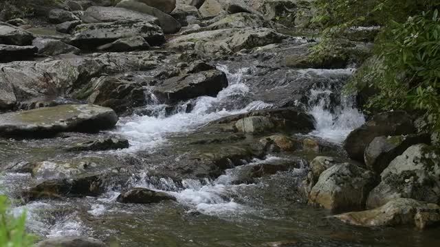 小溪流水-小河(点击查看)视频素材
