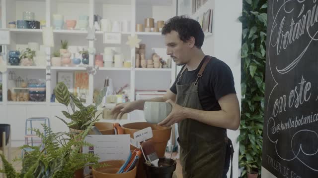 花店盆栽植物在一个小的植物和礼品店视频素材