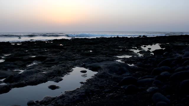 日落时分，火山海滩边的海鸥视频素材