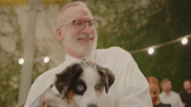 CU男子在婚礼上与可爱的小狗跳舞视频素材