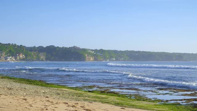 低潮时的沙滩，海床上覆盖着绿色的海藻，冲浪者在雾蒙蒙的背景和岩石中游泳视频下载