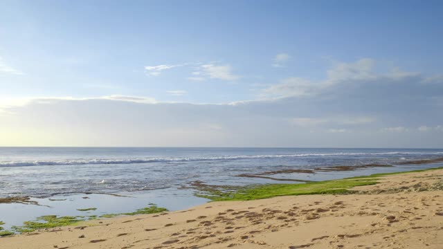 低潮时的沙滩，傍晚海床被绿色海藻覆盖视频下载