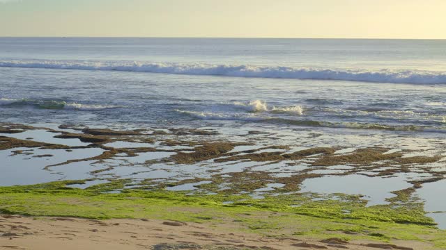 近距离观看珊瑚礁与绿色和棕色的海藻在低潮和海浪附近的热带沙滩脚印视频下载