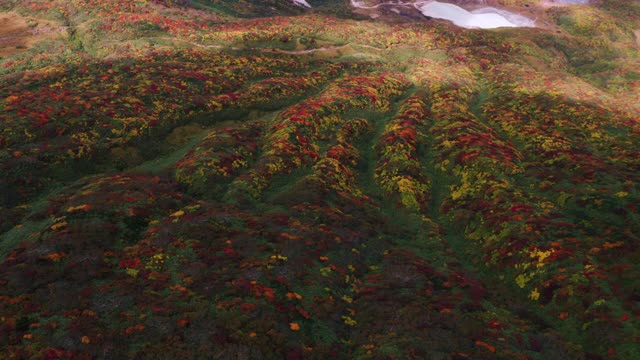 秋季五彩森林红叶悬崖峭壁风光视频素材