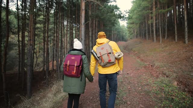 年轻夫妇手牵着手在美丽的秋日徒步旅行视频素材